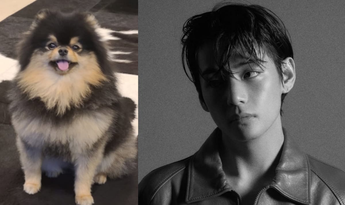 Taehyung BTS Umumkan Yeontan Meninggal Dunia
